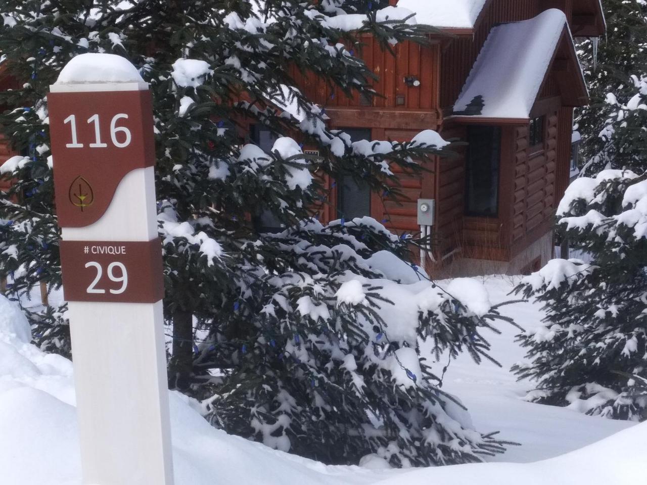 Chalet F116 Mont-Tremblant Nord Lac-Superieur Exterior foto